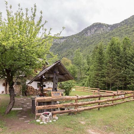 Вилла Lizina Hiska House Bohinj Бохиньска-Быстрица Экстерьер фото