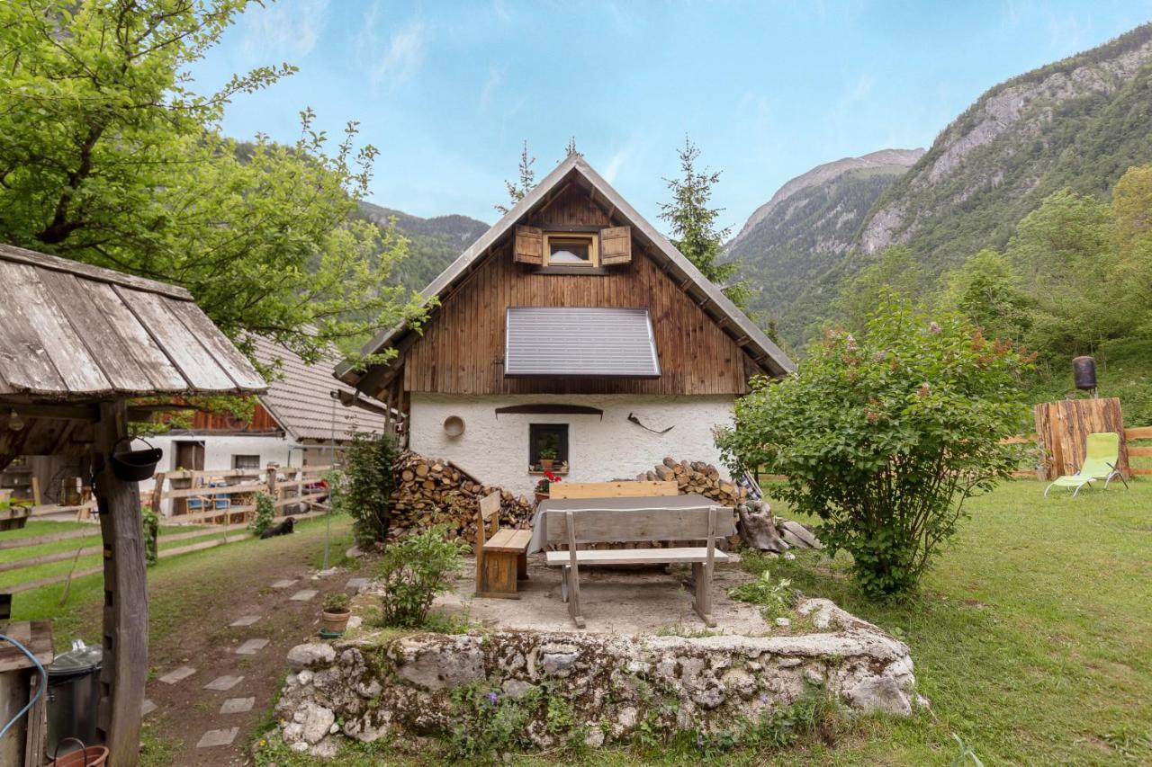 Вилла Lizina Hiska House Bohinj Бохиньска-Быстрица Экстерьер фото